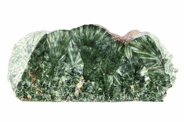 Polished Seraphinite Section - Korshunovkiy Mine, Siberia #301576